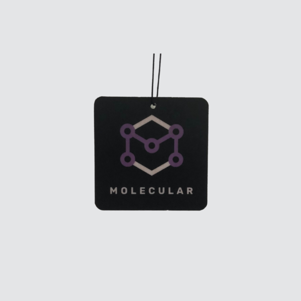 GRAVITY Hanging Car Air Freshener with Molecular UK logo
